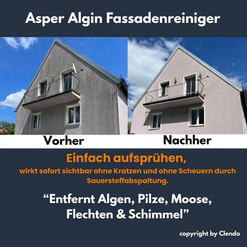 Mts original asperalgin fassadenreiniger 1l rosa-graue lösung entfernt algen moos und schimmel schonend